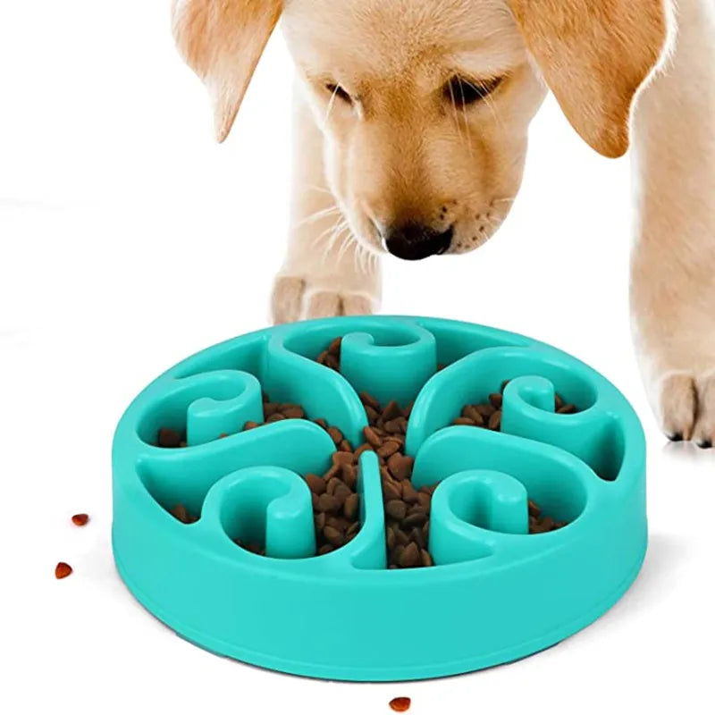 Pets : Non Slip Anti-Gulping Dog Slow Feeder Bowl