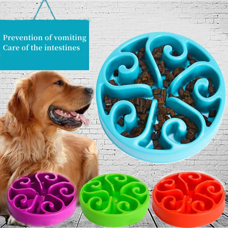 Pets : Non Slip Anti-Gulping Dog Slow Feeder Bowl