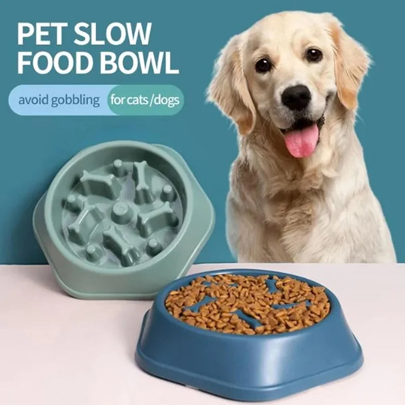 Pets : Non- Slip Slow Feeder Dog Bowl