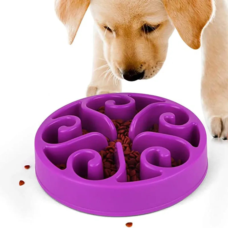Pets : Non Slip Anti-Gulping Dog Slow Feeder Bowl