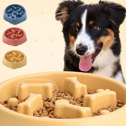 Pets : Non- Slip Slow Feeder Dog Bowl