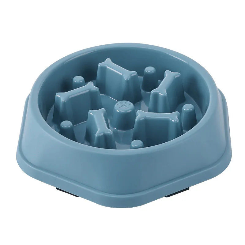Pets : Slow Feeder Dog / Cat Bowl