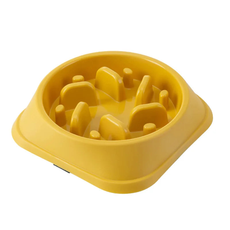 Pets : Slow Feeder Dog / Cat Bowl