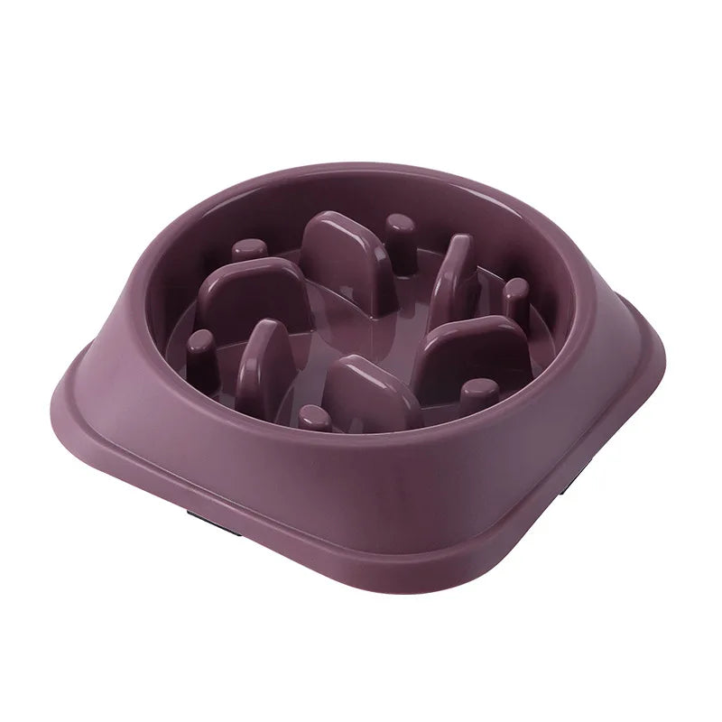 Pets : Slow Feeder Dog / Cat Bowl