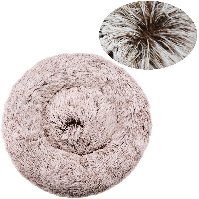 Pets : Soft Plushy Pet Beds for Cat and Dogs