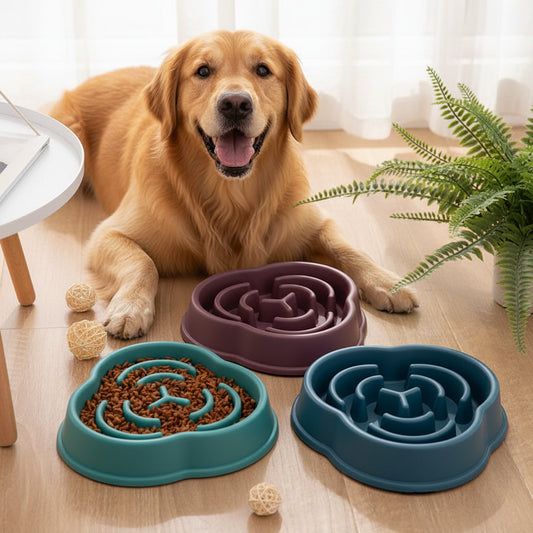 Pets : Slow Feeder Dog / Cat Bowl