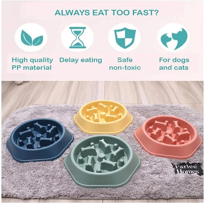 Pets : Non- Slip Slow Feeder Dog Bowl