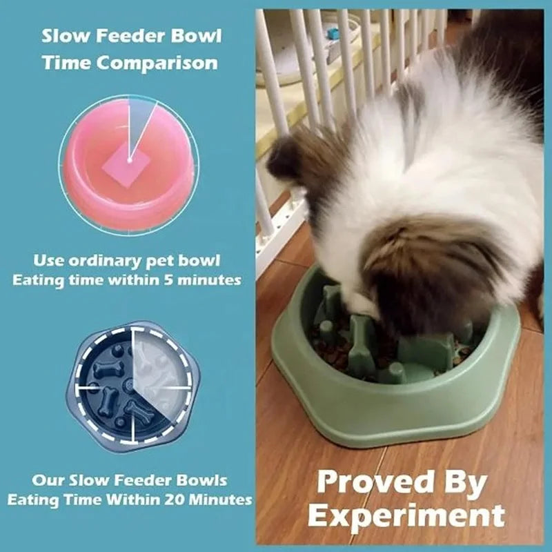 Pets : Non- Slip Slow Feeder Dog Bowl